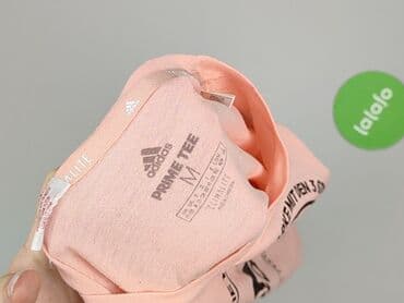 celtics t shirty: Adidas, T-shirt damski, rozmiar M — 5