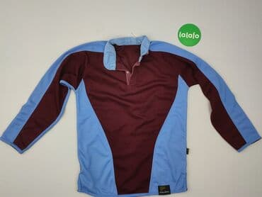 sweter w paski c a: Long-sleeved top for men, S (EU 36), Falcon, condition - Very good — 2