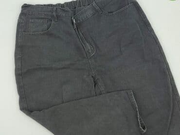 woskowane legginsy z wysokim stanem zara: Shein Curve, Jeansy damskie, XL — 1