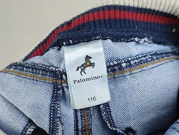 c a dresy: Spodnie jeansowe, Palomino, 5-6 lat, 110/116, stan - Idealny — 4