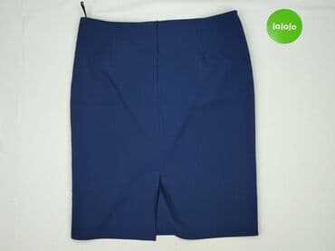 srebrne spódnice plisowane: Spódnica damska, 3XL — 3