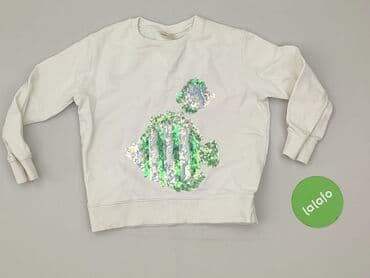 bluzki dziewczęce 164 allegro: Bluza, Zara, 4-5 lat, 110-116 cm, stan - Bardzo dobry — 2