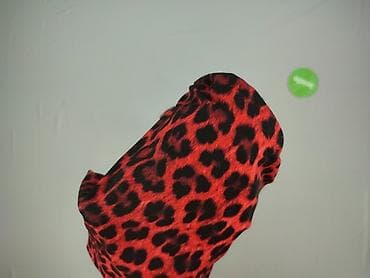 stradivarius leopard: Leopard, Сукня жіноча, розмір S — 6