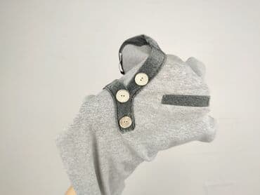 lidl koszulka termiczna: HDM, Women`s shirt, size S (EU 36) — 5