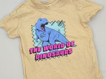 hooligans koszulki: T-shirt, Sinsay, 4-5 years, 104-110 cm, condition - Very good — 1