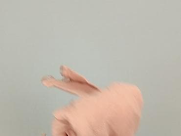 elli swetry: Esprit Collection, Kardigan damski, rozmiar M — 7