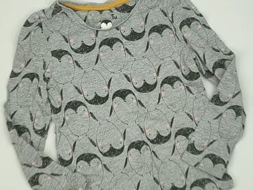 kombinezon polarowy lidl: Blouse, Tu, 3-4 years, 98-104 cm, condition - Very good — 1