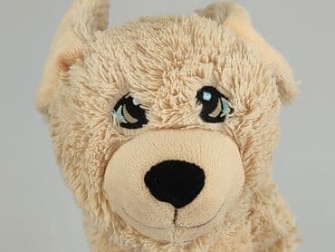 kapcie po domu allegro: Mascot Dog, condition - Very good — 1