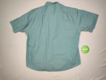 koszulka z gołębiem allegro: Shirt for men, L (EU 40), condition - Perfect — 3