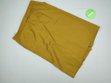 pasek ozdobny do sukienki plus size: Spódnica damska, 2XL — 3