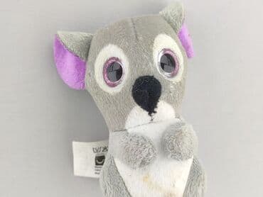 Mascot condition - Very good