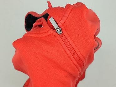 czerwona bluza pull bear: Puma, Bluza z kapturem dla mężczyzn, rozmiar M — 6