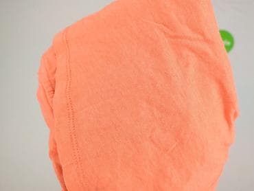 t shirty basic hugo boss: Dorothy Perkins, T-shirt damski, rozmiar M — 6