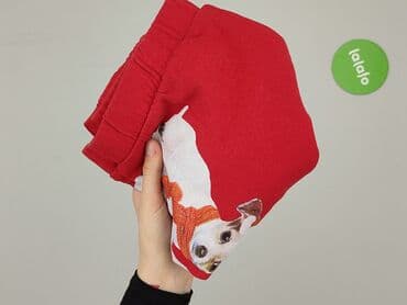 bluzka z traktorem dla chłopca: Sweater, Destination, 10 years, 134-140 cm, condition - Good — 5
