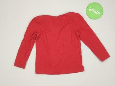 koszulki z napisami allegro: Sweatshirt, Palomino, 2-3 years, 92-98 cm, condition - Very good — 3