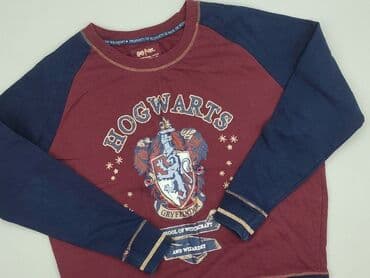 t shirty motocyklowe: Harry Potter, Світшот жіночий, розмір XL — 1