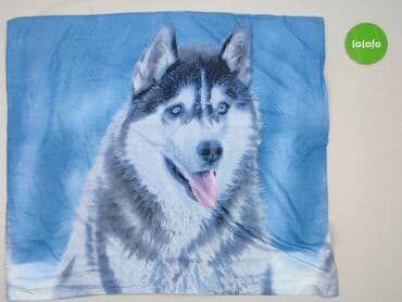 obrus 200x150: Pillowcase, 66 x 74, kolor - Niebieski, stan - Idealny — 2