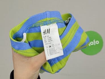 sukienki sweterkowe plus size: Leggings, H&M, condition - Perfect — 4