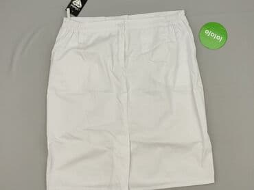 spódnice dla pań puszystych: Spódnica damska, rozmiar 3XL — 4