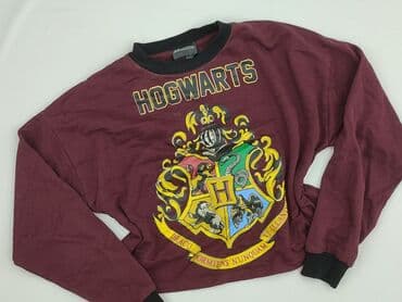 harry potter bez koszulki: Sinsay, Bluza damska
, rozmiar S — 1