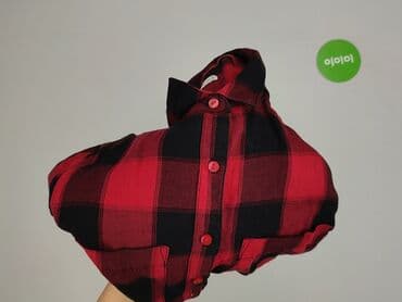 cropp koszula w kratę damska: Cropp, Сорочка жіноча, розмір S — 7