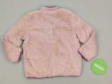 hollister bluzki: Bluza, Little kids, 4-5 lat, 104-110 cm, stan - Idealny — 3