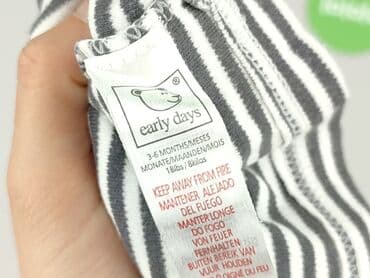 sinsay golf: T-shirt, EarlyDays, 3-6 months, condition - Very good — 5