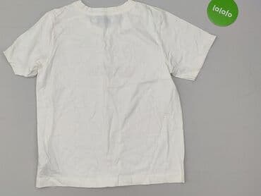 smieszne hasla na koszulki: T-shirt damski, M — 3