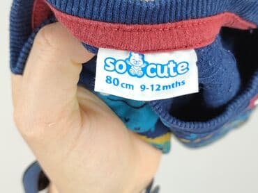 vans koszulki: Sweatshirt, So cute, 9-12 months, condition - Very good — 4