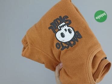 sukienka sweterkowa c a: Sweatshirt, TEX, 14 years, 158-164 cm, condition - Very good — 5