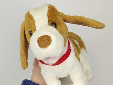 Mascots: Mascot Dog, condition - Very good — 4