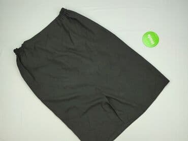 Спідниці: Спідниця жіноча, 2XL — 2
