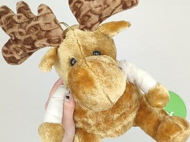koszulka wilk i zając: Maskotka stan - Bardzo dobry — 4