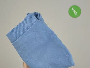 koszulka 4f allegro: Sweatshirt, So cute, 2-3 years, 92-98 cm, condition - Very good — 5