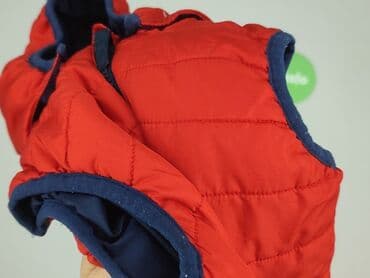 tchibo kombinezon softshell: Vest, Topomini, 9-12 months, condition - Very good — 6
