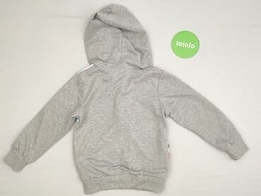 czapka tygrys: Bluza, 3-6 miesięcy, stan - Bardzo dobry — 3