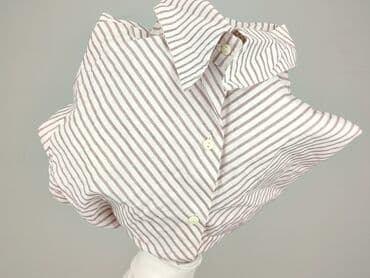 tommy hilfiger t shirty basic: Women`s shirt, size S (EU 36) — 6
