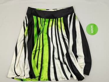 lebron james spodnica: Women`s skirt, size 3XL — 3