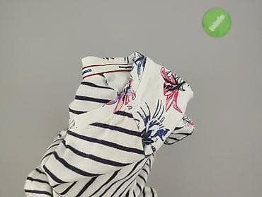 kangaroos trampki: Kangaroos, Bluzka damska, rozmiar XL — 7