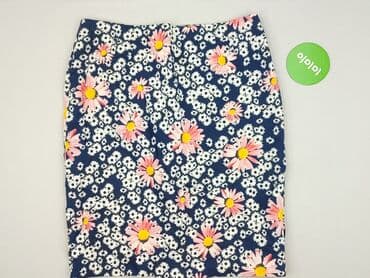 spódniczka plus size: IBIS, Spódnica damska, 2XL — 2