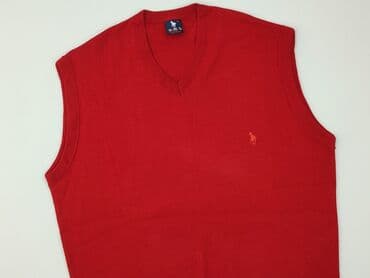 lidl kurtka puchowa: Sweter dla mężczyzn, XL — 1