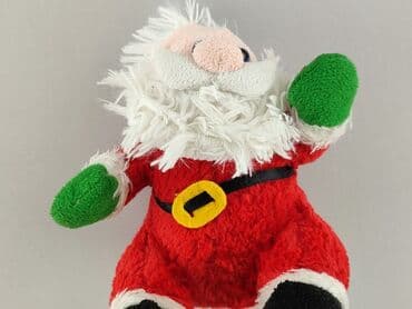 Mascots: Mascot condition - Good