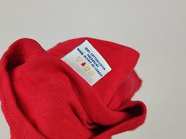 flat: Classic, Футболка для чоловіків, розмір L — 5