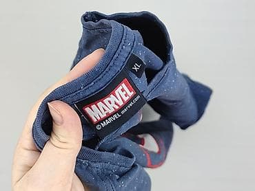 pepco hulk: Marvel, Koszulka dla mężczyzn, rozmiar XL — 5