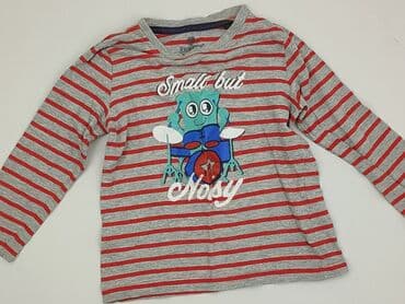 koszulka z dynia dla dziecka: Sweatshirt, Lupilu, 3-4 years, 98-104 cm, condition - Very good — 1