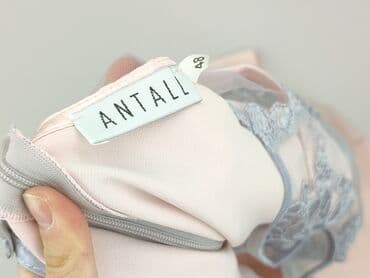 sukienka marynarka zalando: ANTALL, Women`s dress, 4XL at lalafo.pl — 4 sukienka marynarka zalando: ANTALL, Women`s dress, 4XL — 4