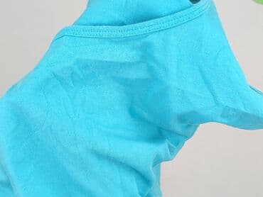 bluzka nietoperz plus size: Топ жіночий, 2XL на lalafo.pl — 6 bluzka nietoperz plus size: Топ жіночий, 2XL — 6