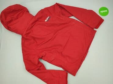 kurtka red bull zimowa: Hollister, Kurtka przejściowa damska, S — 4