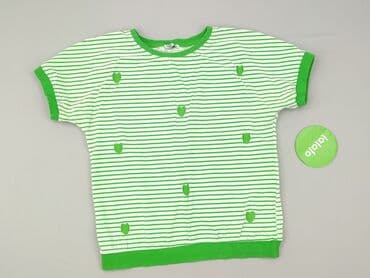 dynafit t shirty: MEGI, Women`s T-shirt, size M (EU 38) — 2