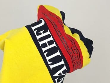 podkoszulki 98: Sweatshirt, 13 years, 152-158 cm, condition - Very good — 6